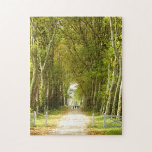 Avenue des arbres Photo Puzzle avec boîte cadeau