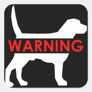 AVERTISSEMENT CHIEN AUTOCOLLANT CARRÉ