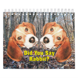 Avez-vous dit le lapin ? Calendrier de beagle