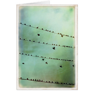 Avez-vous entendu ? - Blanc