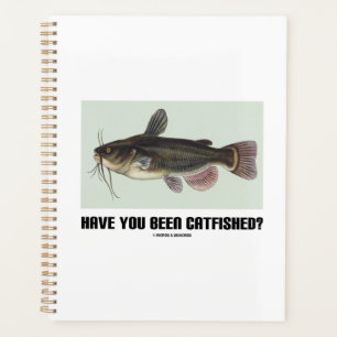 Avez-vous été Catfished? Catfish Query Humour