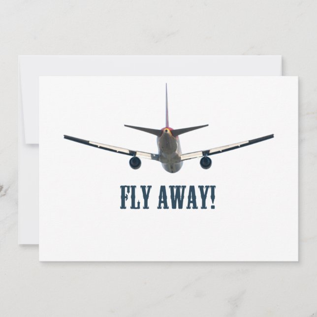 Avion en fuite (Devant)
