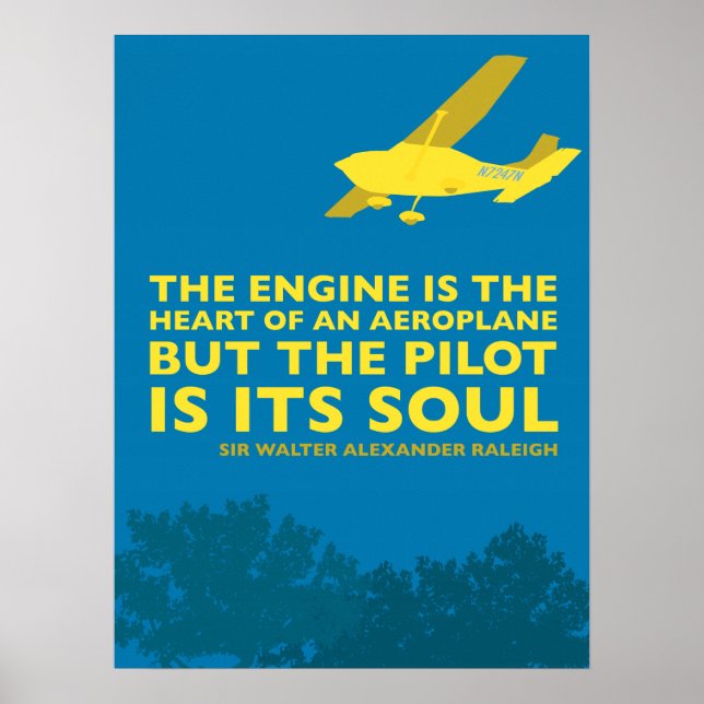 Avion inspirant et affiche volante (Devant)