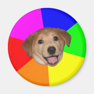 Avis Magnet Mème Chien