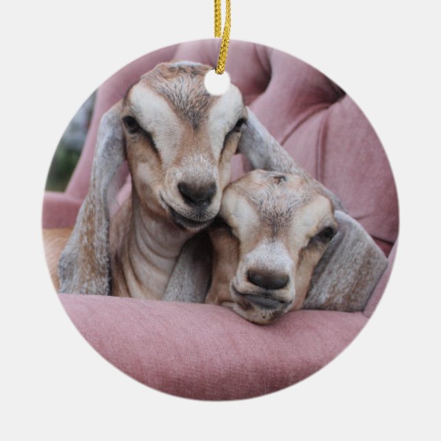 Avocat et ornement de vacances de Smooshie (Devant)