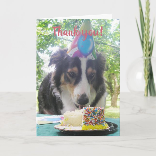 "Avoir ton gâteau et le manger aussi !" Ca Merci (Devant)