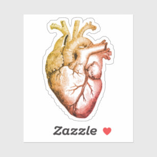 Avoir un autocollant Coeur