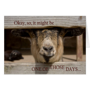 Avoir un de ces jours