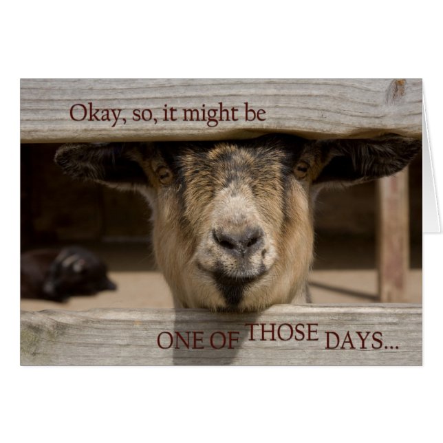 Avoir un de ces jours (Devant horizontal)