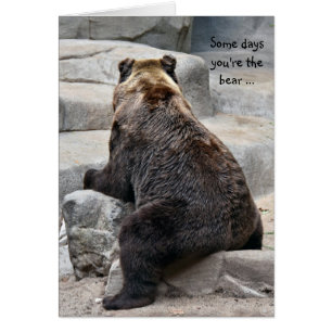 Avoir un ours de bonne journée