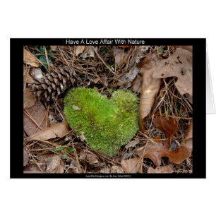 Avoir une relation d'amour avec la nature Dons de