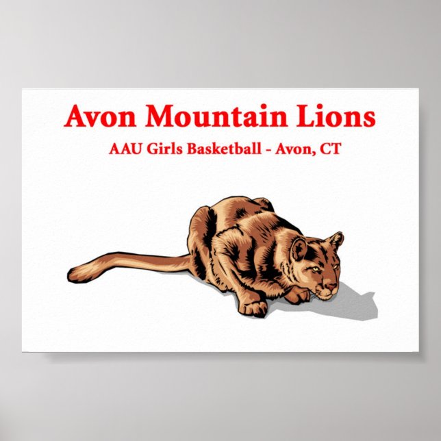 Avon Mountain Lions - Poster du club de basket-bal (Devant)