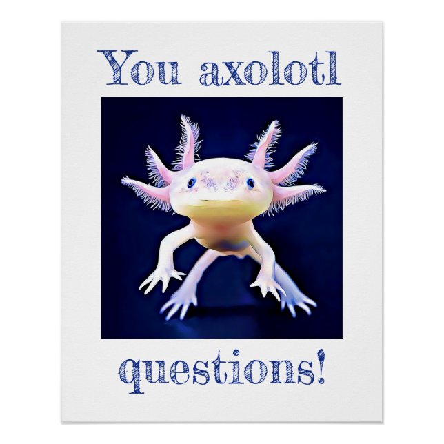 Axolotl Salamander Poster Amphibien (Devant)