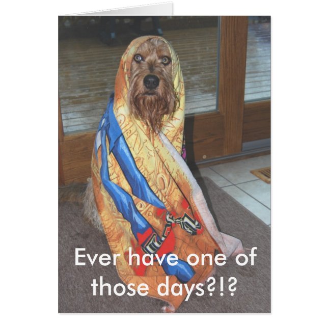 Ayez jamais un de ces jours ? ! ? (Devant)