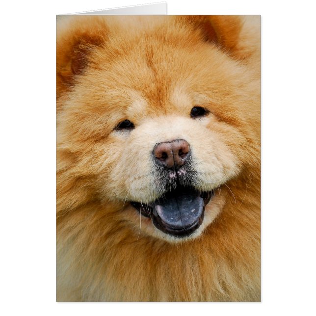 Ayez un heureux (Devant)