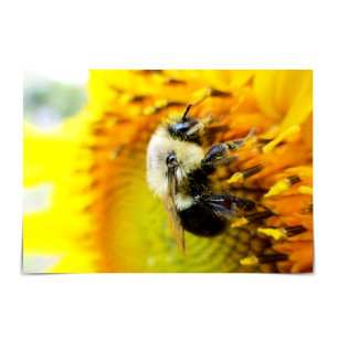 Ayez une carte BEEutiful Day Bumblebee Sunflower