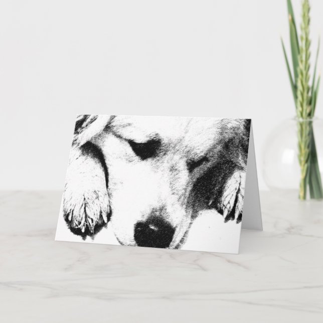 Ayons une carte brownie (Devant)