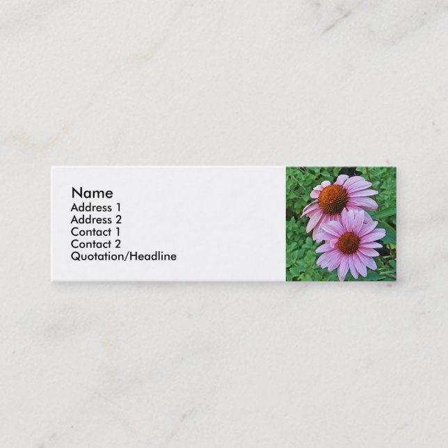 AZ- cartes de visite floraux roses de Coneflower (Devant)