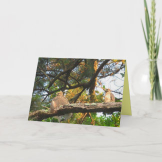 AZ- Penser à votre carte de faucon