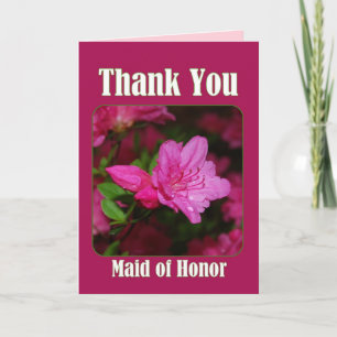 Azalea rose domestique d'honneur Merci
