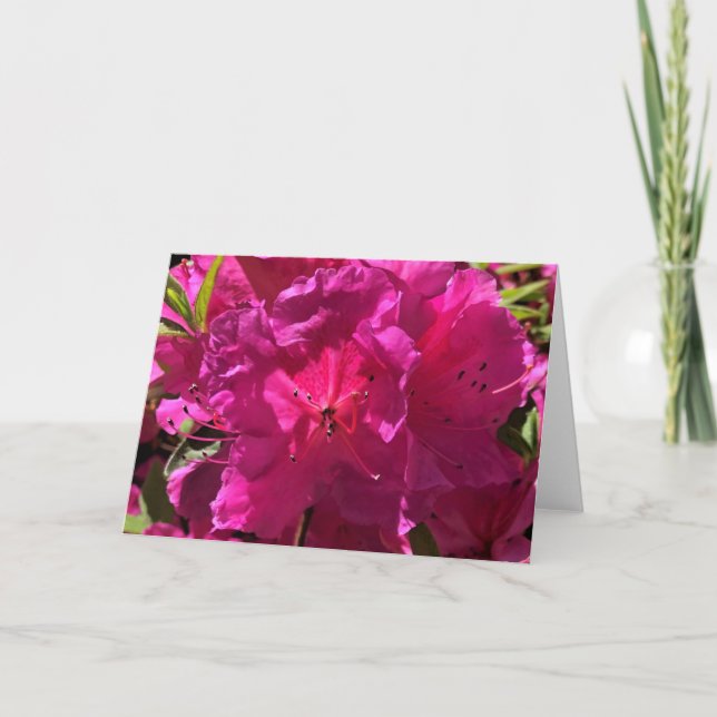 Azalée, carte (Devant)