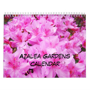 Azalée orange blanche de rose de calendrier de