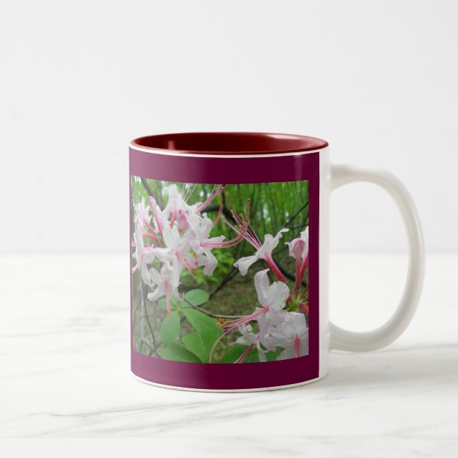 Azalée sauvage 11 Oz. Mug (Droit)
