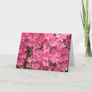 AZALÉES Fleurs d'azalée CARTES DE VŒUX CARTE NOTE
