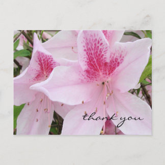 Azalées roses douces - Carte postale Merci
