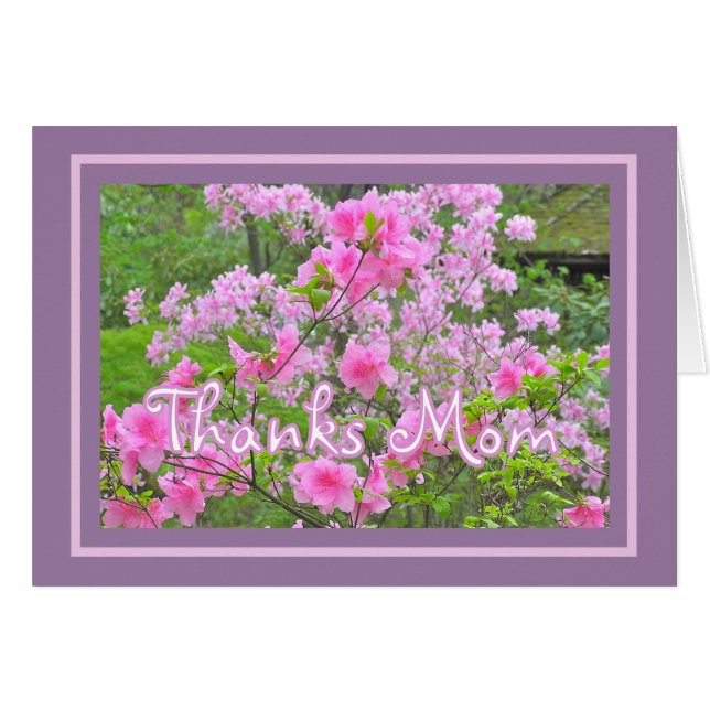 "AZALÉES ROSES" MERCI MAMAN/JOYEUSE FÊTE DES MÈRES (Devant horizontal)