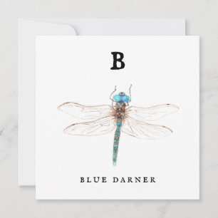 "B" Bleu Darner