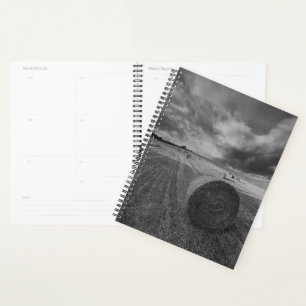 B&W Barley Field