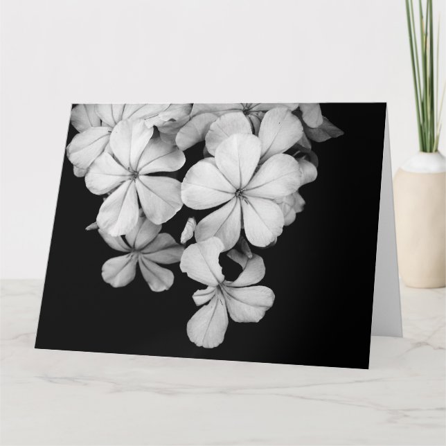 b&w carte postale (Devant)