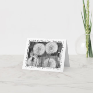 B&W Dandelions Merci