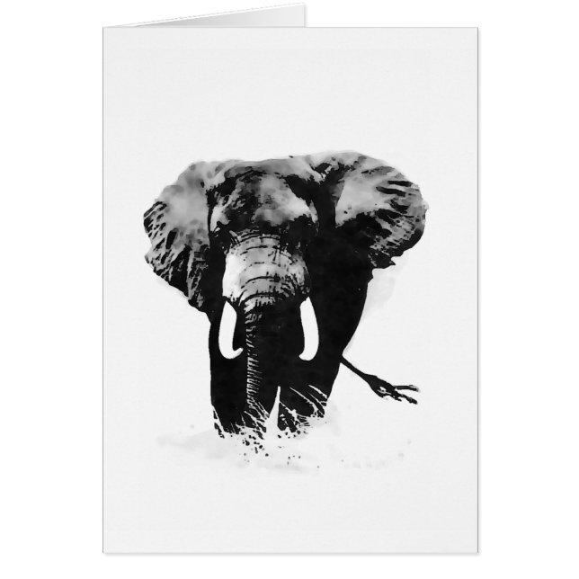 B&W Elephant (Devant)