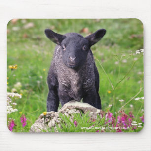 Baa-Baa Tapis de souris de mouton noir