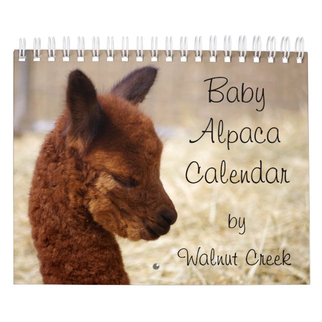 Baby Alpaca Calendrier 2023 (Protection)
