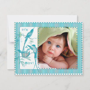 Baby Boy Aqua Oiseaux Vintages Photo Faire-part