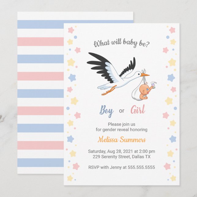 Baby Boy Girl Stork Genre Reveal Party Invitation (Devant / Derrière)
