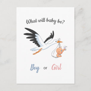 Baby Boy Girl Stork Genre Reveal Party Invitation