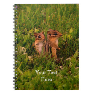Baby Chipmunks Animal Nature Carnet d'art