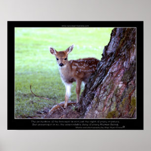 Baby Deer Fawn Photo & Poem Poster