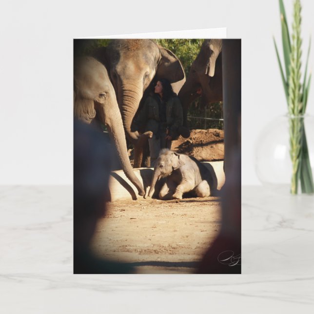 Baby Elephant Carte d'anniversaire (Devant)