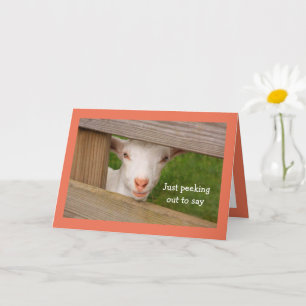 Baby Goat Poetry Carte d'anniversaire