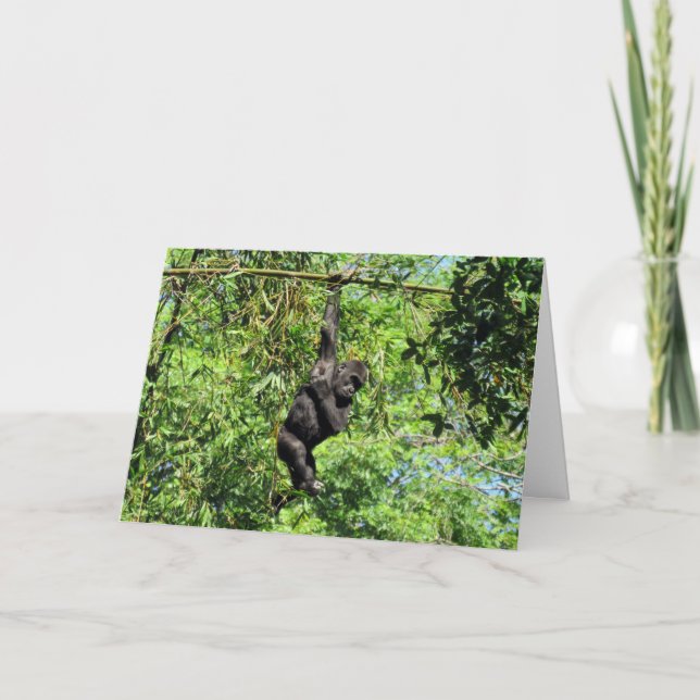 Baby Gorilla (2035) - Carte d'anniversaire (Devant)