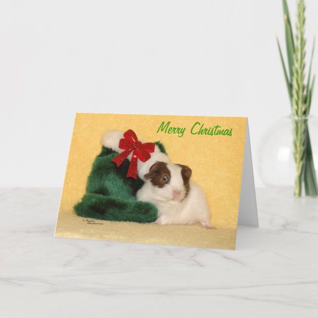 Baby Guinée Pig Joyeux Noël Carte (Devant)