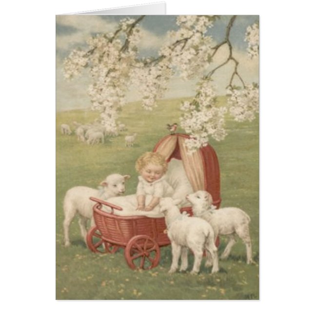 Baby Lamb Dogwood Tree Field (Devant)