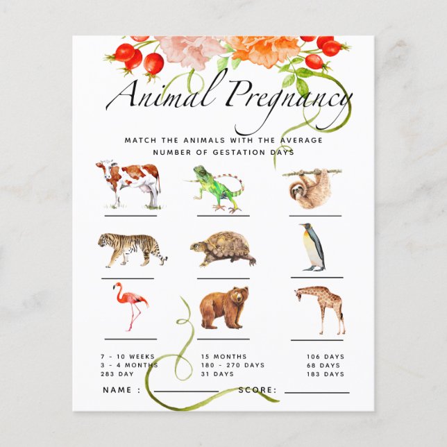 Baby shower Citrouille de grossesse animale (Devant)