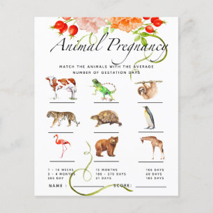 Baby shower Citrouille de grossesse animale