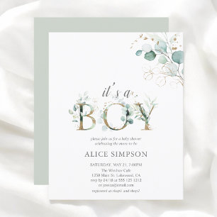 Baby shower Eucalyptus Boy Budget